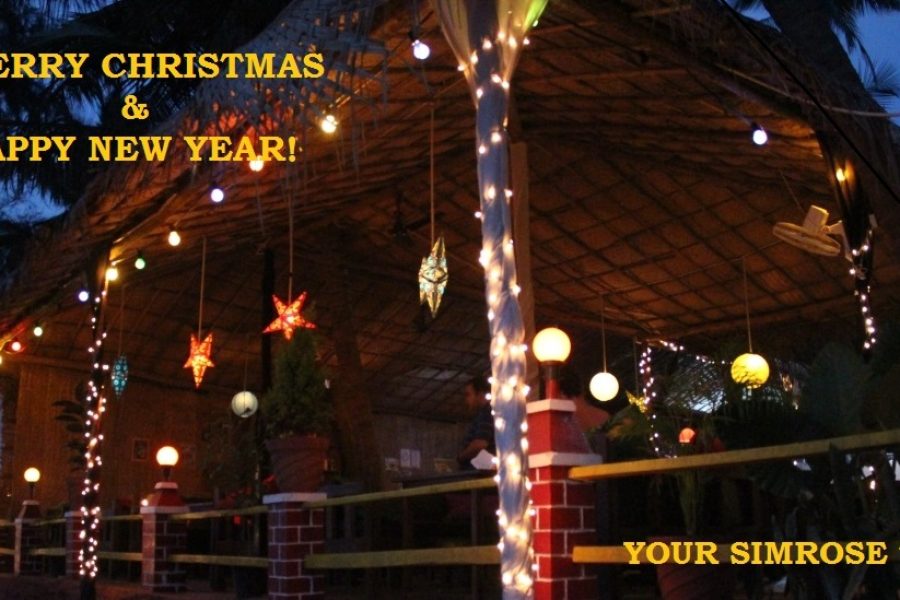 Merry Christmas and happy New Year!